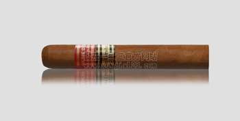 Partagas_Serie_D_Especial_2010