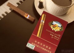 长城盛世6号雪茄