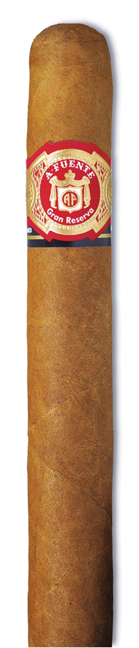 Robusto