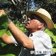 佩平·加西亚十年    2012 年 12 月 17 日 | 大卫· 萨沃纳