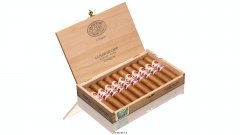 La Flor de Cano Mágicos 地区音乐节来到西班牙