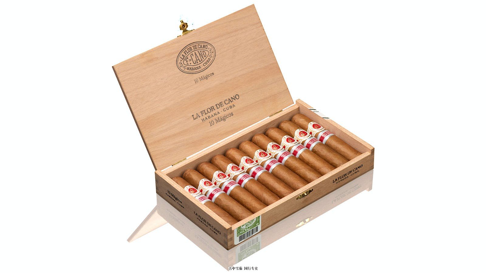 La Flor de Cano Mágicos 地区音乐节来到西班牙