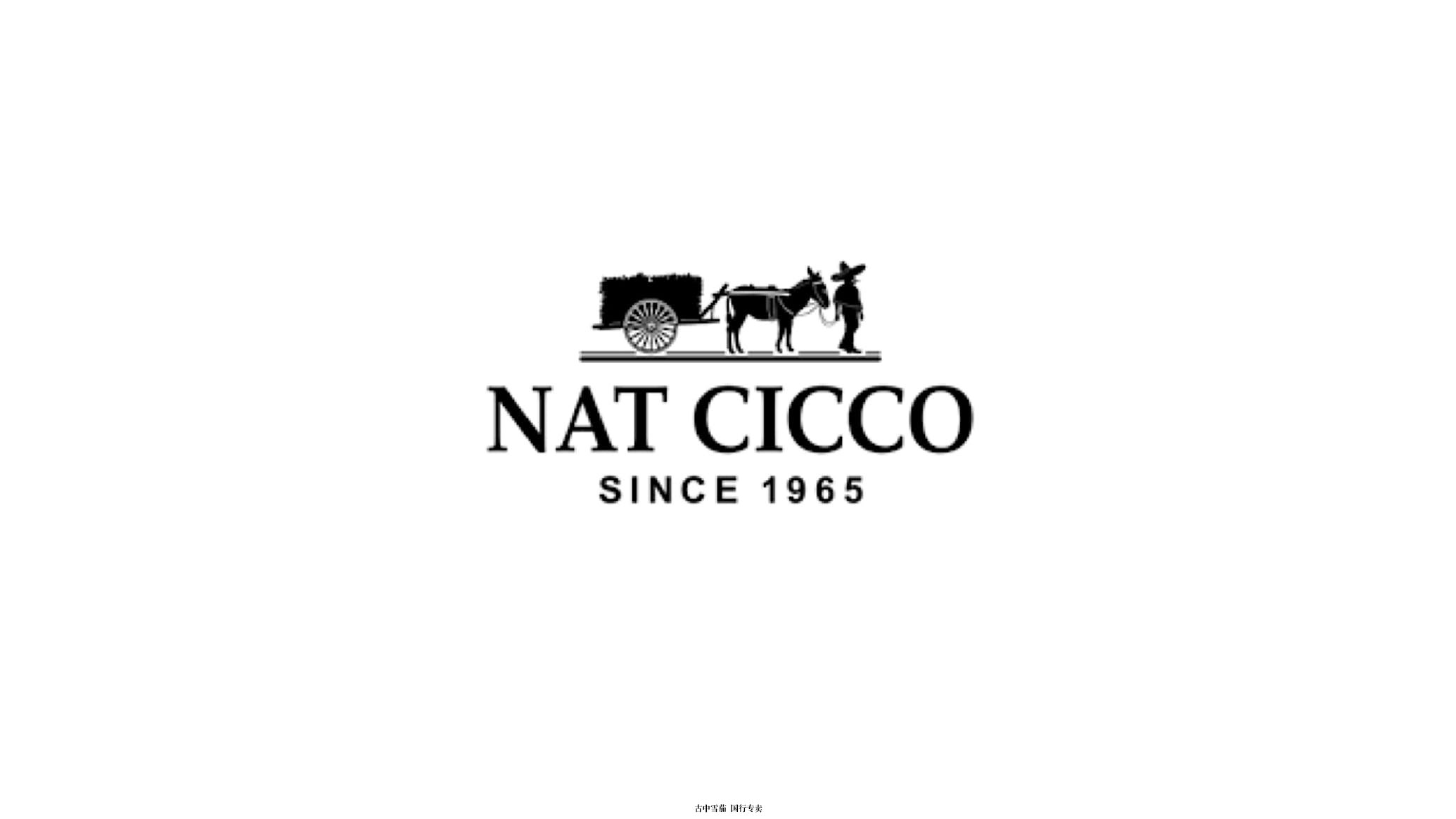 限量版 Nat Cicco 纪念品牌成立 55 周年