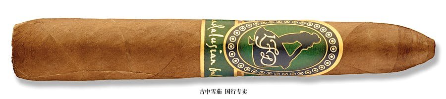 La Flor 多米尼加安达卢西亚公牛