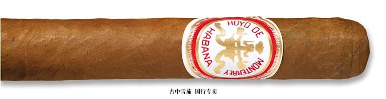 Hoyo de Monterrey Churchill