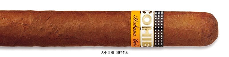 Cohiba Siglo I 