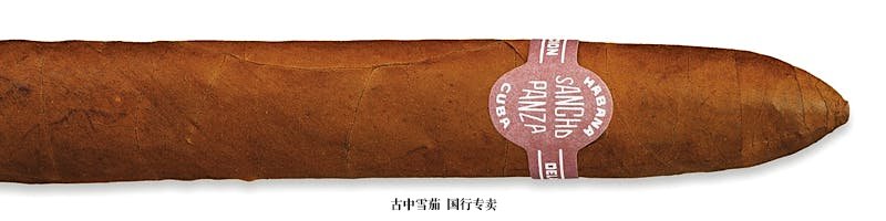 Sancho Panza Belicoso