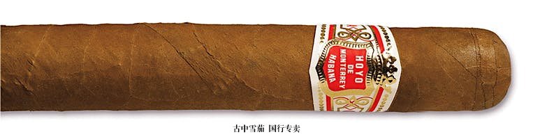 Hoyo de Monterrey Petit Robusto