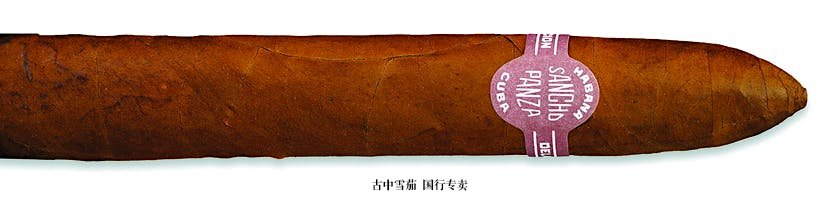 Sancho Panza Belicoso