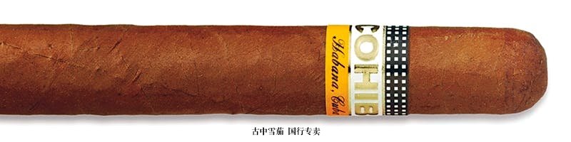 Cohiba Siglo VI (Tubo)