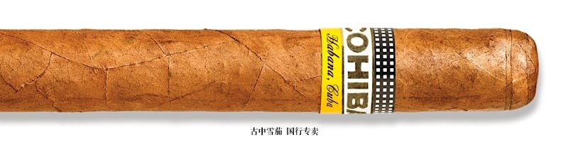 Cohiba Siglo V