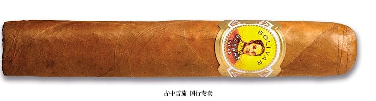 Bolivar Royal Corona (Tubo)