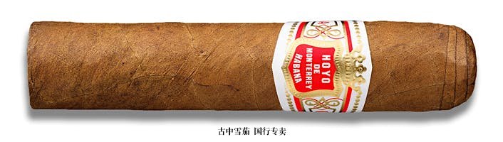 Hoyo de Monterrey Petit Robusto