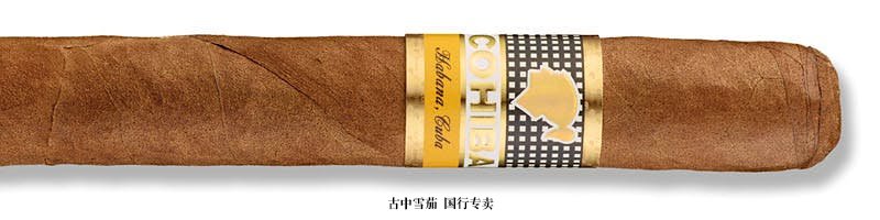 Cohiba Siglo V (Tubo)