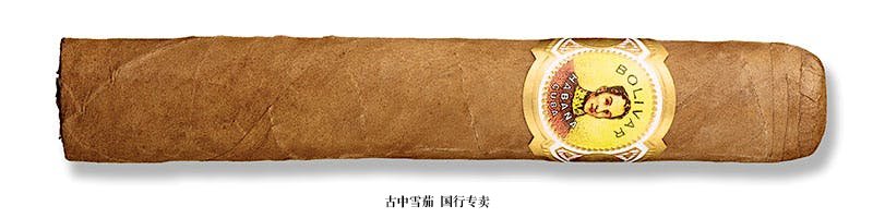 Bolivar Royal Corona