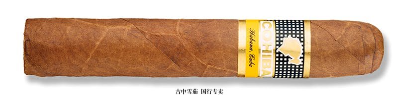 Cohiba Robusto