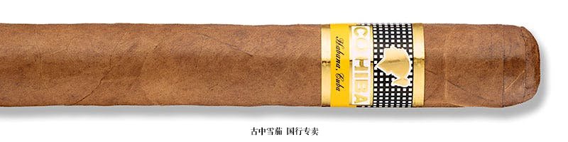 Cohiba Siglo VI