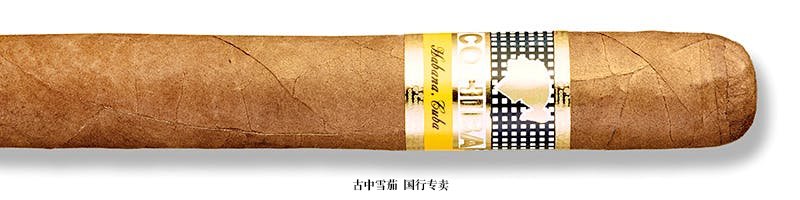 Cohiba Siglo IV