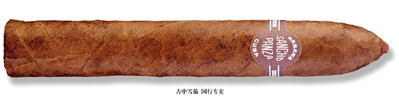 Sancho Panza Belicoso