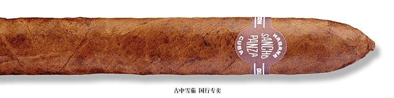 Sancho Panza Belicoso