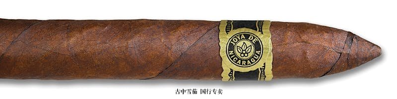 Joya de Nicaragua Antaño Dark Corojo Poderoso