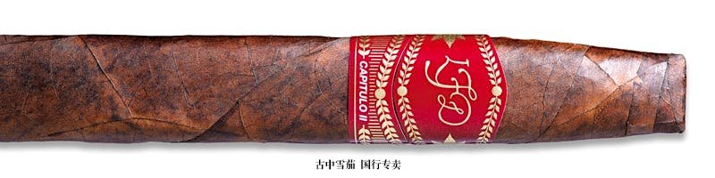 La Flor Dominicana  Capitulo II