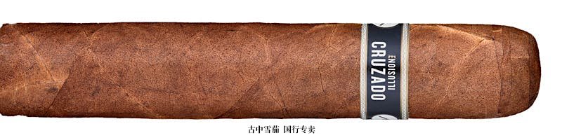 Illusione Cruzado Short Robusto