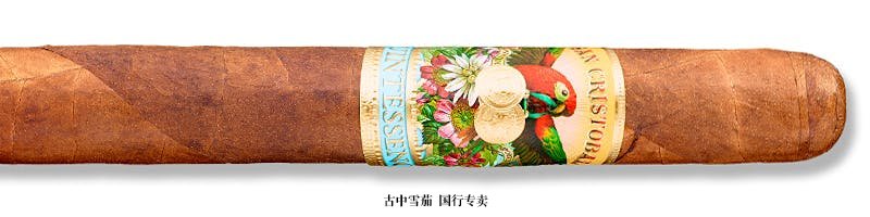 San Cristobal Quintessence Churchill