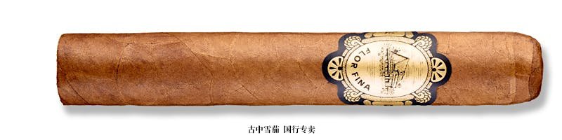 Warped Chinchalle Robusto