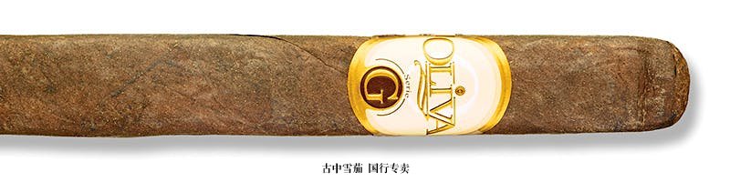 Oliva Serie G Maduro Presidente