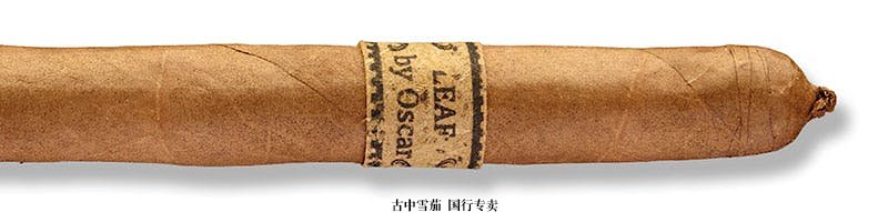 Leaf by Oscar Sumatra Lancero