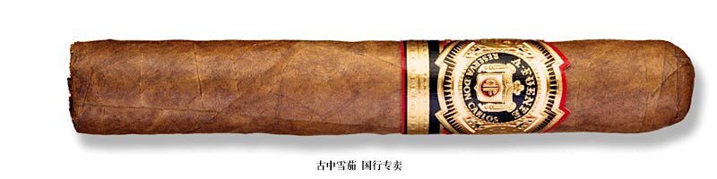 Arturo Fuente Don Carlos Robusto