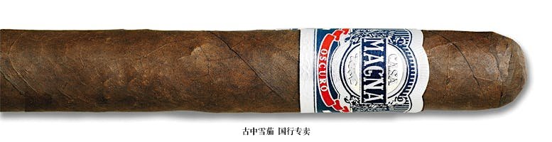 Casa Magna Oscuro Churchill Gordo