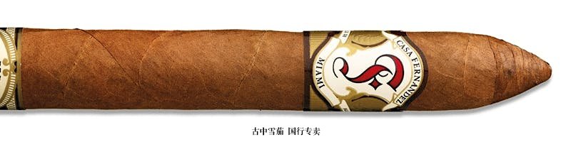 Casa Fernandez Miami Torpedo