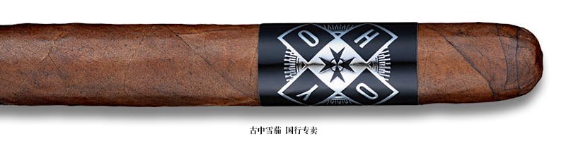 Hoyo Toro