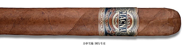 Casa Magna Jalapa Claro Robusto