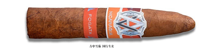 Avo Syncro Nicaragua Fogata Short Torpedo