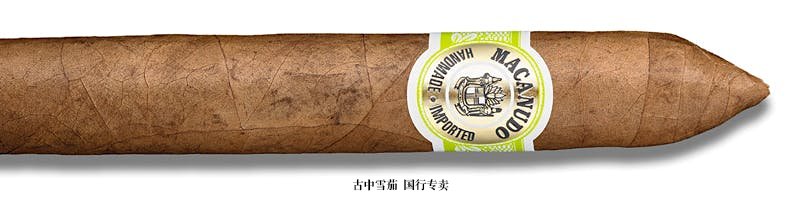 Macanudo Café Duke of Windsor