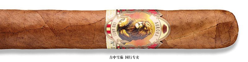 La Aurora 100 Años Robusto