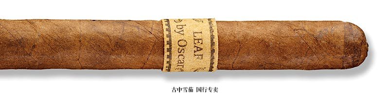 Leaf by Oscar Maduro Lancero