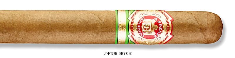 Arturo Fuente Chateau Fuente King T (Tubo)