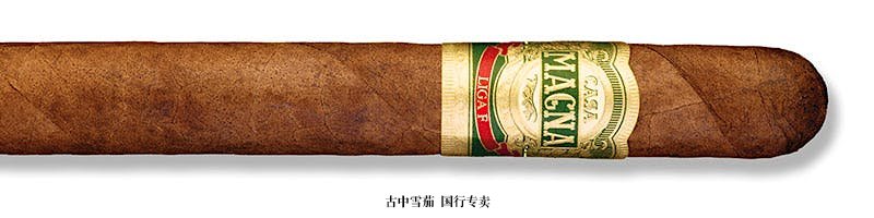 Casa Magna Liga F Churchill