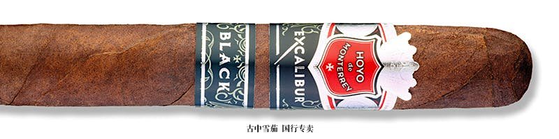 Hoyo de Monterrey Excalibur Black Robusto