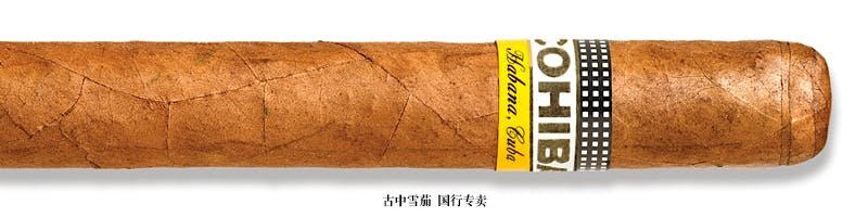 高希霸 Siglo V