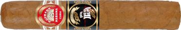 H. Upmann 罗布托斯